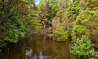 Click image for larger version

Name:	Dip River.jpg
Views:	101
Size:	259.3 KB
ID:	386919