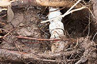 Click image for larger version

Name:	Broken pipe-4919.jpg
Views:	80
Size:	1.98 MB
ID:	397920