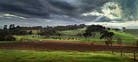 Click image for larger version

Name:	Country Scene edit.jpg
Views:	77
Size:	180.8 KB
ID:	423651