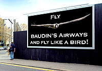 Baudin_Airways_2.jpg
