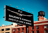 Baudin_Airways_1.jpg