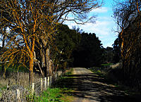 Louds Hill Rd
Between Myponga and Mt Compass sa